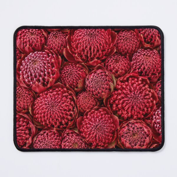 Item preview, Waratah Flowers designed and sold by The Aussie Muse • Purple Empress  .