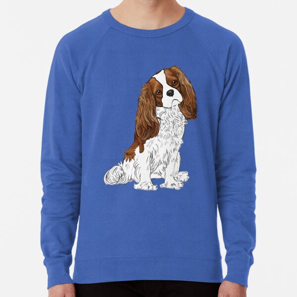 Cavalier King Charles Spaniel Blenheim