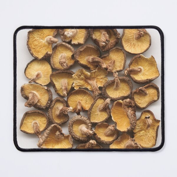 Item preview, Dried Shiitake Mushroom Gills Underside Pattern designed and sold by OsakaYumeWorks.