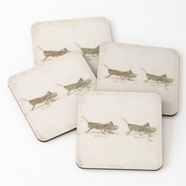 Item preview, Vintage Grasshopper and Katydid Specimen Plate designed and sold by PictorialWhimsy.