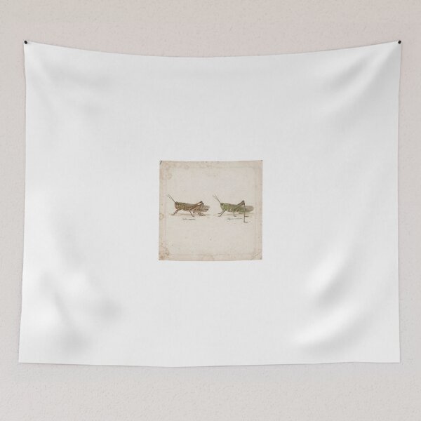 Item preview, Vintage Grasshopper and Katydid Specimen Plate designed and sold by PictorialWhimsy.
