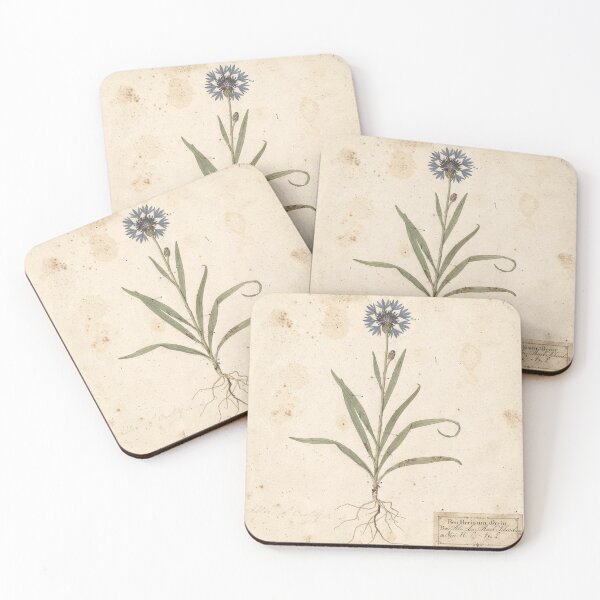 Item preview, Vintage Pressed Cornflower Herbarium Plate designed and sold by PictorialWhimsy.