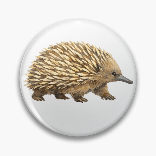 Item preview, Short-Beaked Echidna — Watercolour designed and sold by Jaruart.