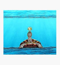 BE AT EASE LIKE A TURTLE Photographic Print