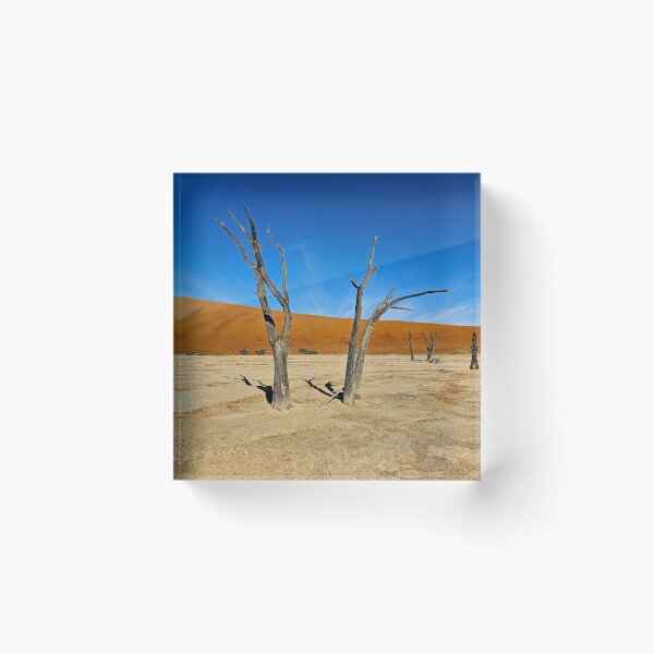 Item preview, Deadvlei Camel Thorn Trees – Namib Desert, Namibia designed and sold by anaolive.