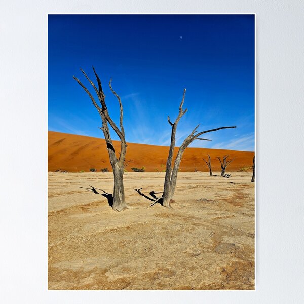 Item preview, Deadvlei Camel Thorn Trees – Namib Desert, Namibia designed and sold by anaolive.