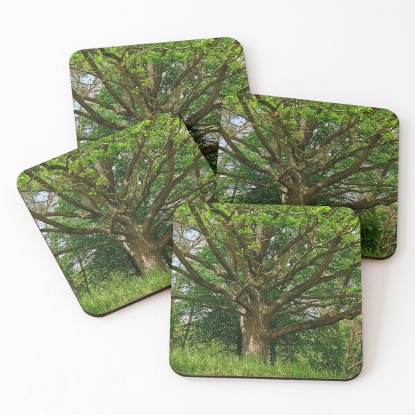 Item preview, Old Oak Tree designed and sold by Eidetic Photos.