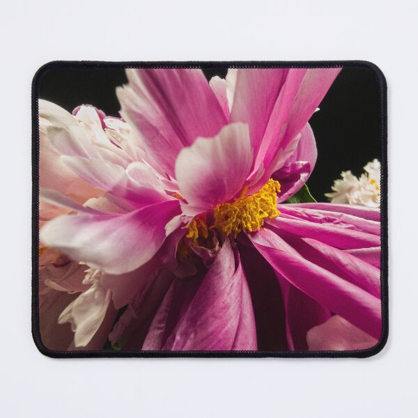 Item preview, Vibrant Pink Peony Macro Flower on Black Background designed and sold by Apex_Visuals.
