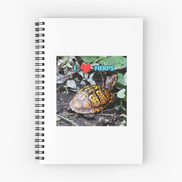 Item preview, Box Turtle designed and sold by WonderingNature.