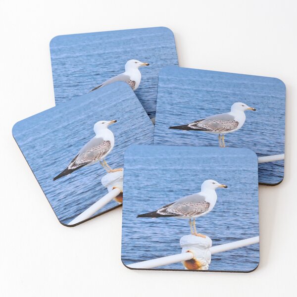 Item preview, Seagull Constanta Romania – Black Sea Photography designed and sold by MSMPrintDesign.