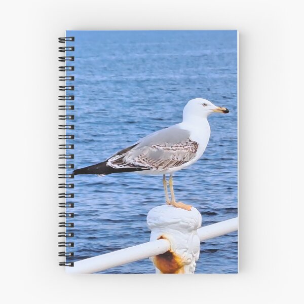 Item preview, Seagull Constanta Romania – Black Sea Photography designed and sold by MSMPrintDesign.