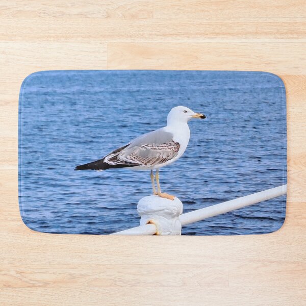 Item preview, Seagull Constanta Romania – Black Sea Photography designed and sold by MSMPrintDesign.