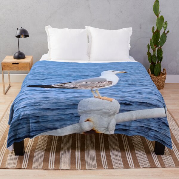 Item preview, Seagull Constanta Romania – Black Sea Photography designed and sold by MSMPrintDesign.