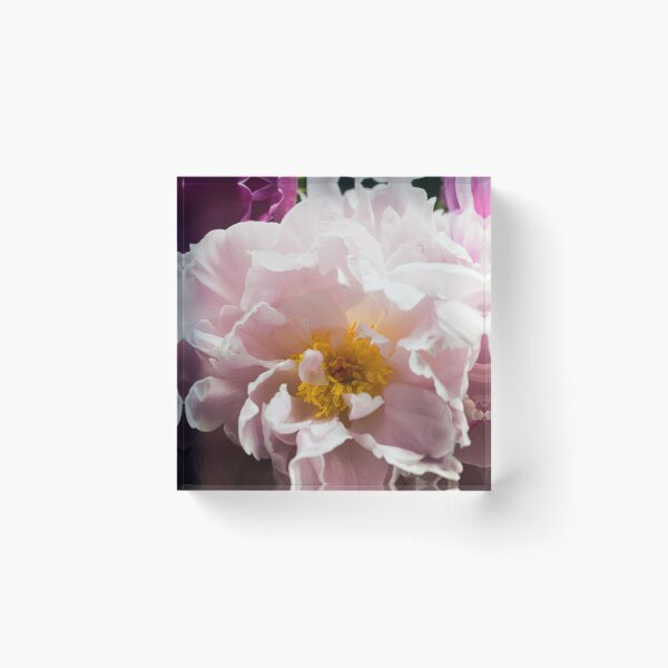 Item preview, Soft Light Pink Peony Flower Macro Print designed and sold by Apex_Visuals.