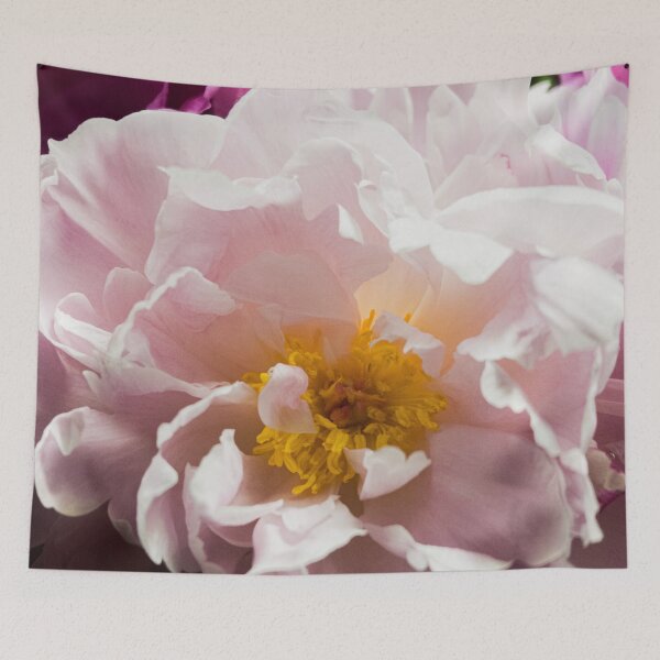 Item preview, Soft Light Pink Peony Flower Macro Print designed and sold by Apex_Visuals.