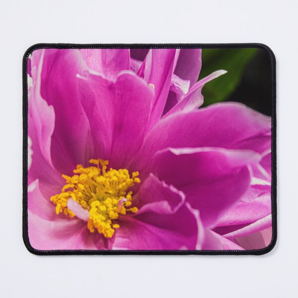 Item preview, Vibrant Magenta Peony Blossom Macro designed and sold by Apex_Visuals.