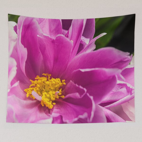 Item preview, Vibrant Magenta Peony Blossom Macro designed and sold by Apex_Visuals.