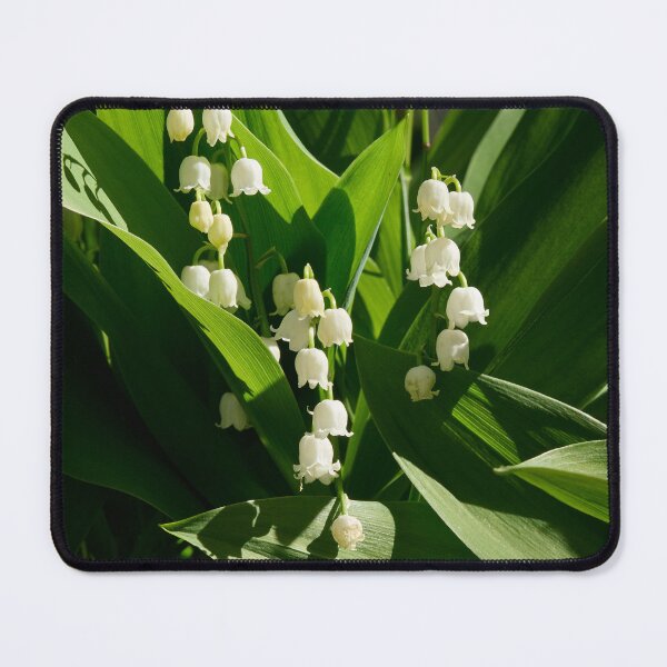 Item preview, The bells of spring. Lily of the Valley designed and sold by Jouko Lehto Photography.