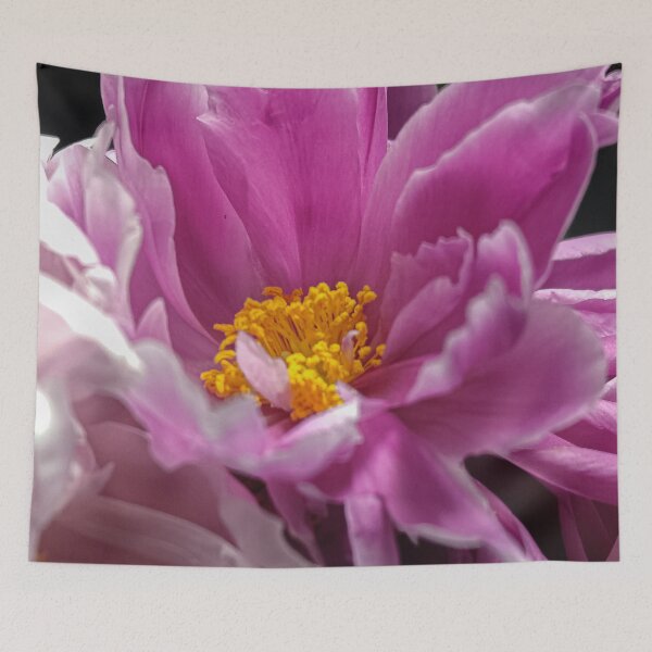 Item preview, Vibrant Pink Peony Macro Flower Bloom designed and sold by Apex_Visuals.