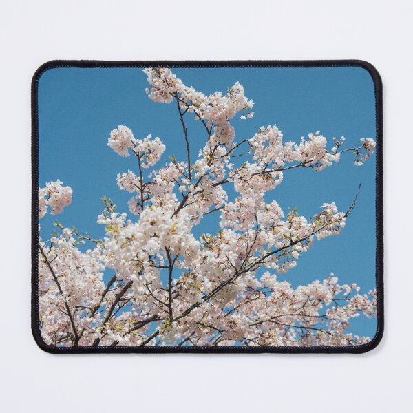 Item preview, sakura photography blue sky designed and sold by Mypixieart.