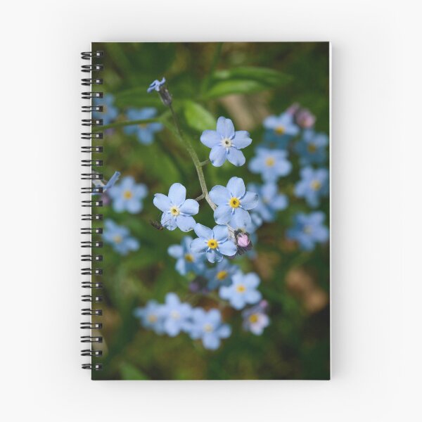 Item preview, Blues. Water Forget-me-­not designed and sold by Jouko Lehto Photography.