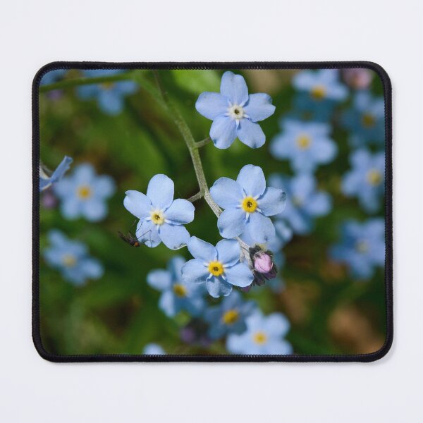 Item preview, Blues. Water Forget-me-­not designed and sold by Jouko Lehto Photography.