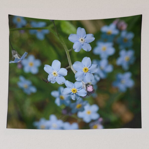 Item preview, Blues. Water Forget-me-­not designed and sold by Jouko Lehto Photography.