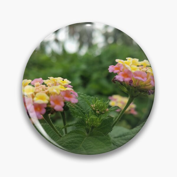 Item preview, MY nature  designed and sold by Kvkrishna.