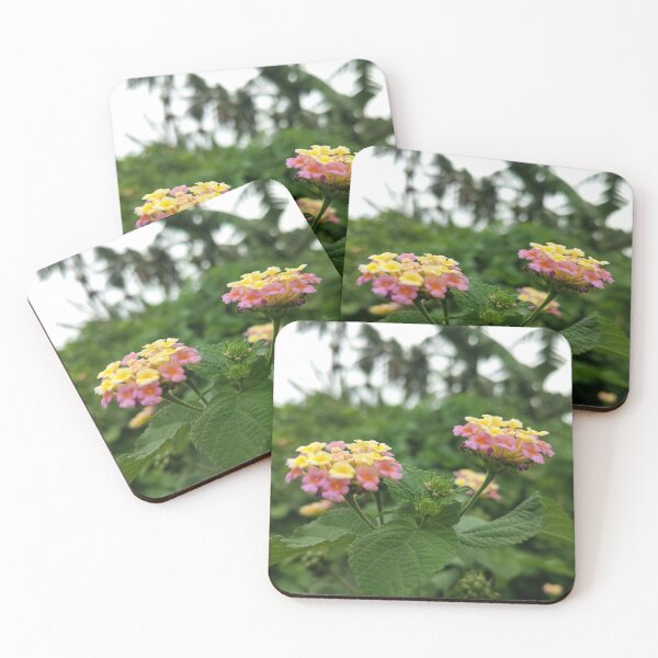 Item preview, MY nature  designed and sold by Kvkrishna.