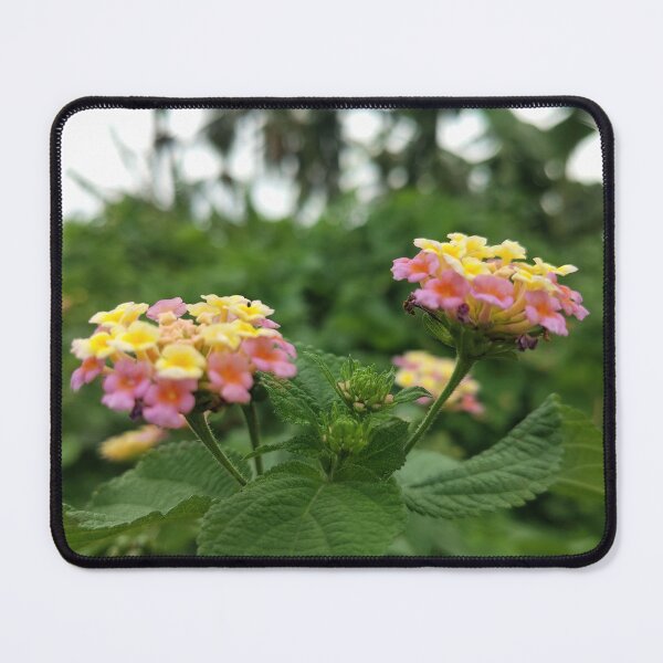 Item preview, MY nature designed and sold by Kvkrishna.