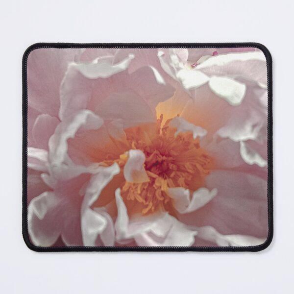 Item preview, Soft Light Pink Peony Flower Macro Close-Up designed and sold by Apex_Visuals.