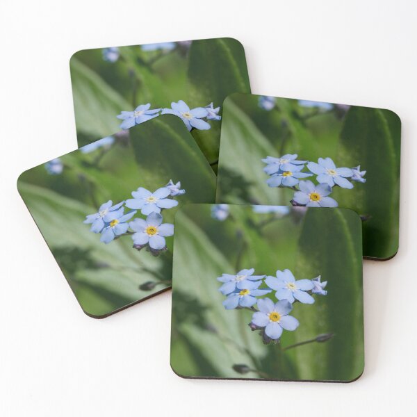 Item preview, The flowers of  Water Forget-me-­not designed and sold by Jouko Lehto Photography.