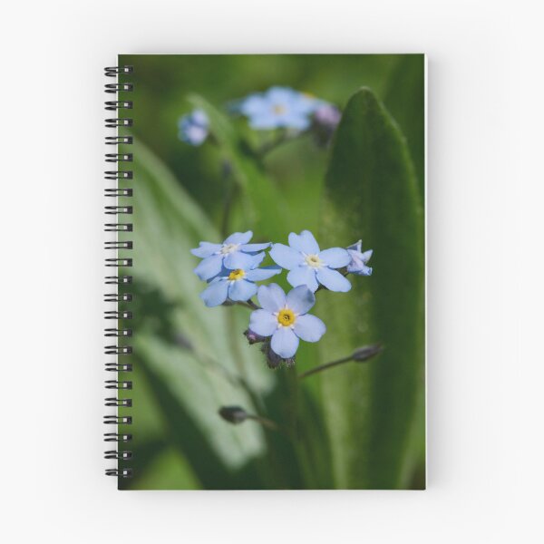 Item preview, The flowers of  Water Forget-me-­not designed and sold by Jouko Lehto Photography.