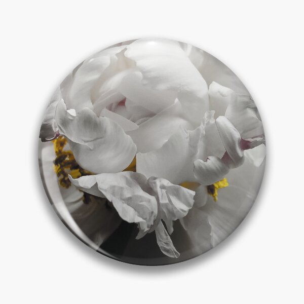 Item preview, Elegant White Peony Flower Macro on Black Background designed and sold by Apex_Visuals.