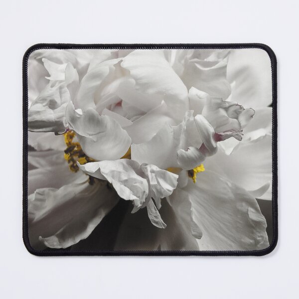 Item preview, Elegant White Peony Flower Macro on Black Background designed and sold by Apex_Visuals.