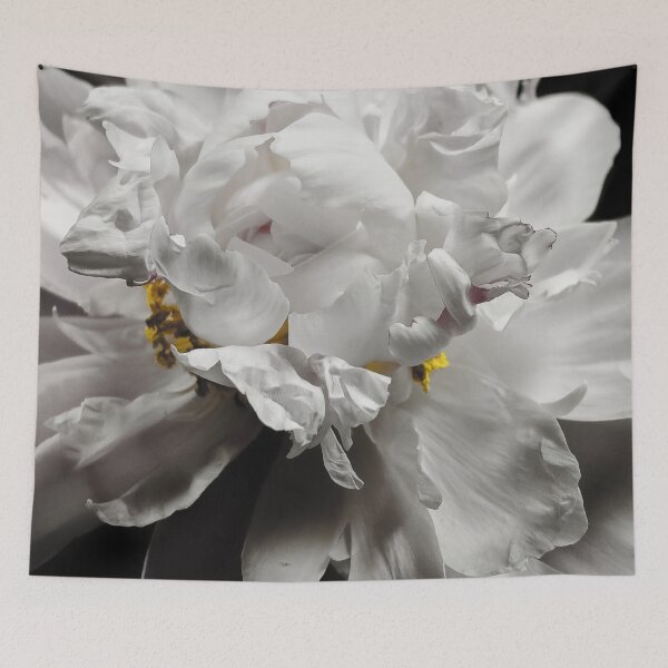 Item preview, Elegant White Peony Flower Macro on Black Background designed and sold by Apex_Visuals.