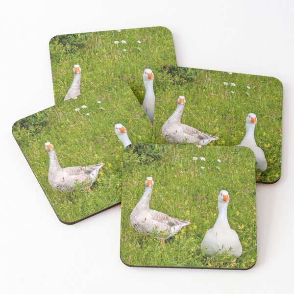 Item preview, Curious Geese in Summer Wildflowers designed and sold by Miles&Moments.