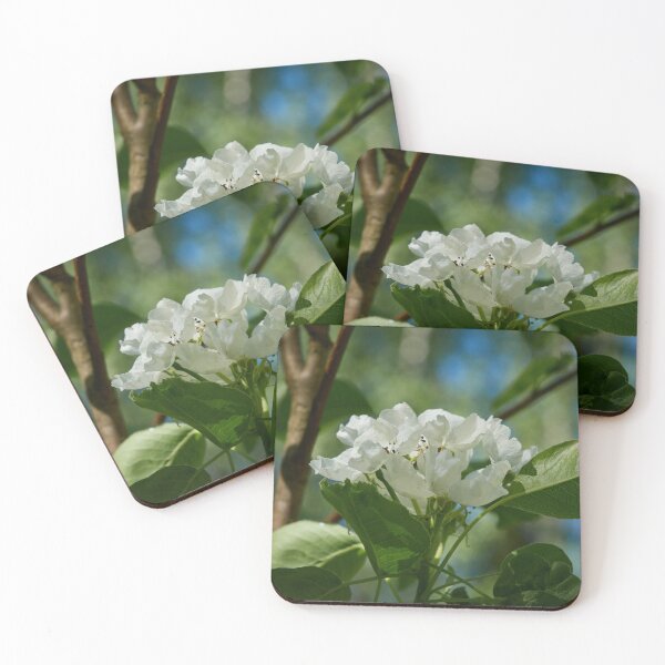 Item preview, First flowers of  Pear Lada designed and sold by Jouko Lehto Photography.