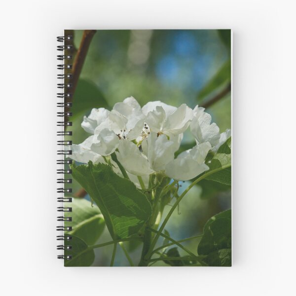 Item preview, First flowers of  Pear Lada designed and sold by Jouko Lehto Photography.