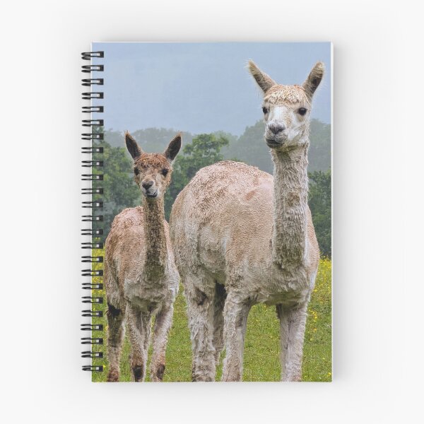 Item preview, Curious Alpacas on a Rainy Day  designed and sold by Miles&Moments.