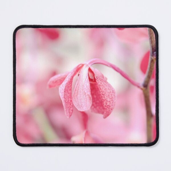 Item preview, Pastel pink orchid aesthetic floral home decor print designed and sold by TanalyFlowers.