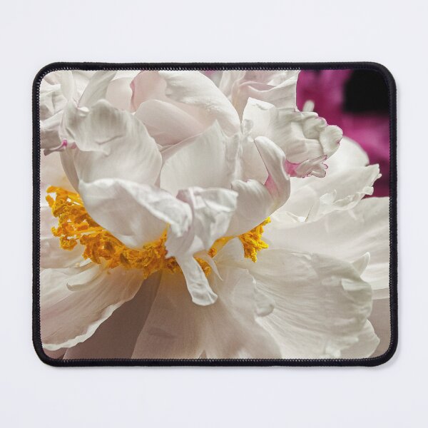 Item preview, Elegant White Peony Flower Close-Up on Black Background designed and sold by Apex_Visuals.