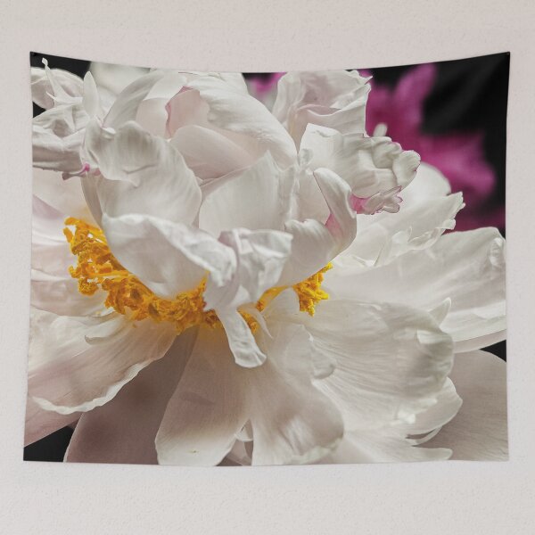 Item preview, Elegant White Peony Flower Close-Up on Black Background designed and sold by Apex_Visuals.