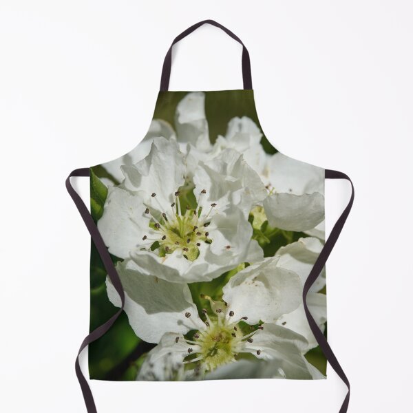 Item preview, The look for the coming pears. Pear Lada designed and sold by Jouko Lehto Photography.