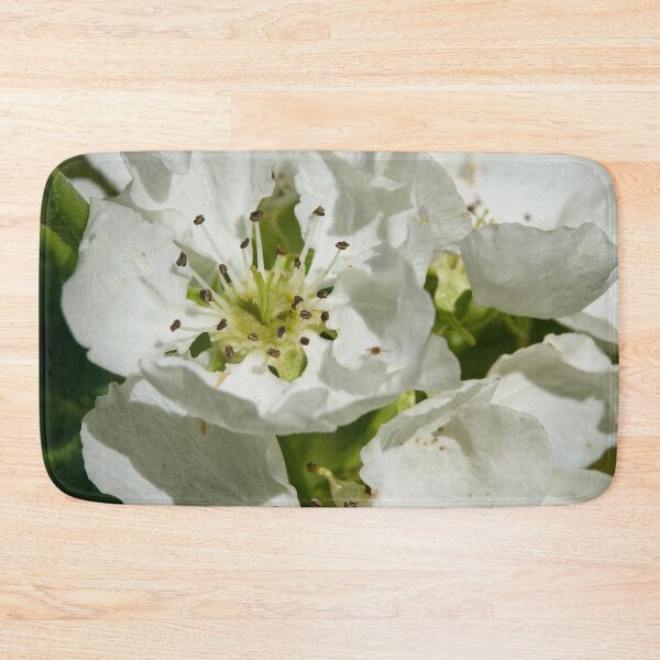 Item preview, The look for the coming pears. Pear Lada designed and sold by Jouko Lehto Photography.