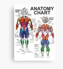 Exercise Muscle Guide - Anatomy Chart - Super SS Metal Print