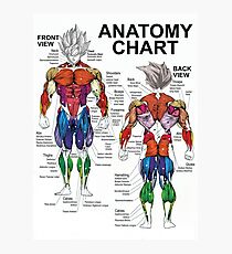 Exercise Muscle Guide - Anatomy Chart - Super SS Photographic Print