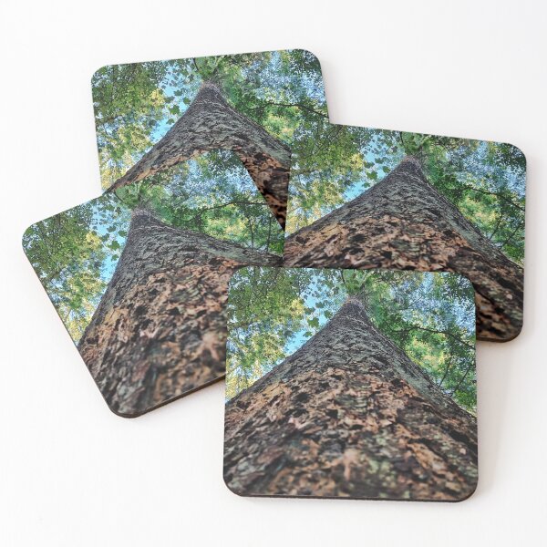 Item preview, Forest Canopy Looking Up a Tree Trunk | Nature Photography designed and sold by MikeWalksUK.