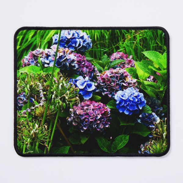 Item preview, Variegated hydrangeas designed and sold by ART22.