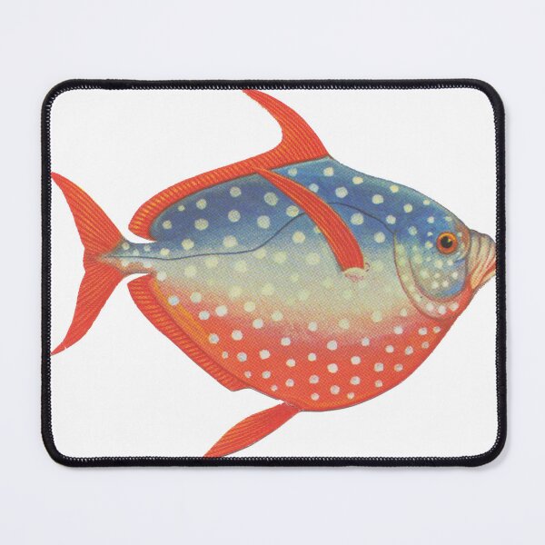 Item preview, Opah Moonfish designed and sold by Fatima Desantos.
